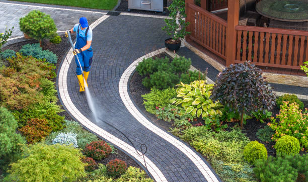 Best Power Washing Near Me  in Southgate, KY